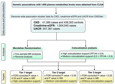 Causal effects of plasma metabolites on chronic kidney diseases and renal function: a bidirectional Mendelian randomization study